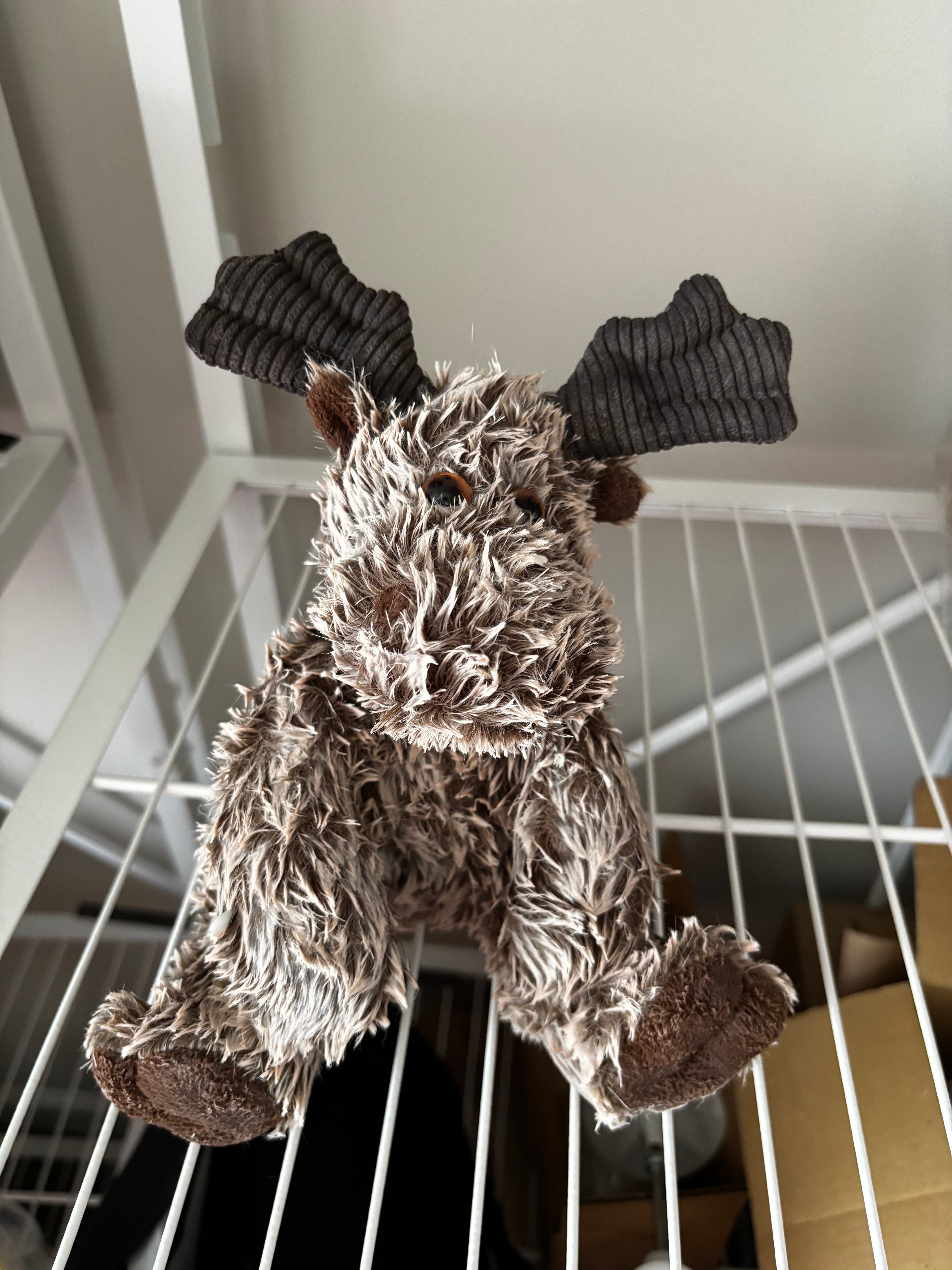 Dipped Critter Moose